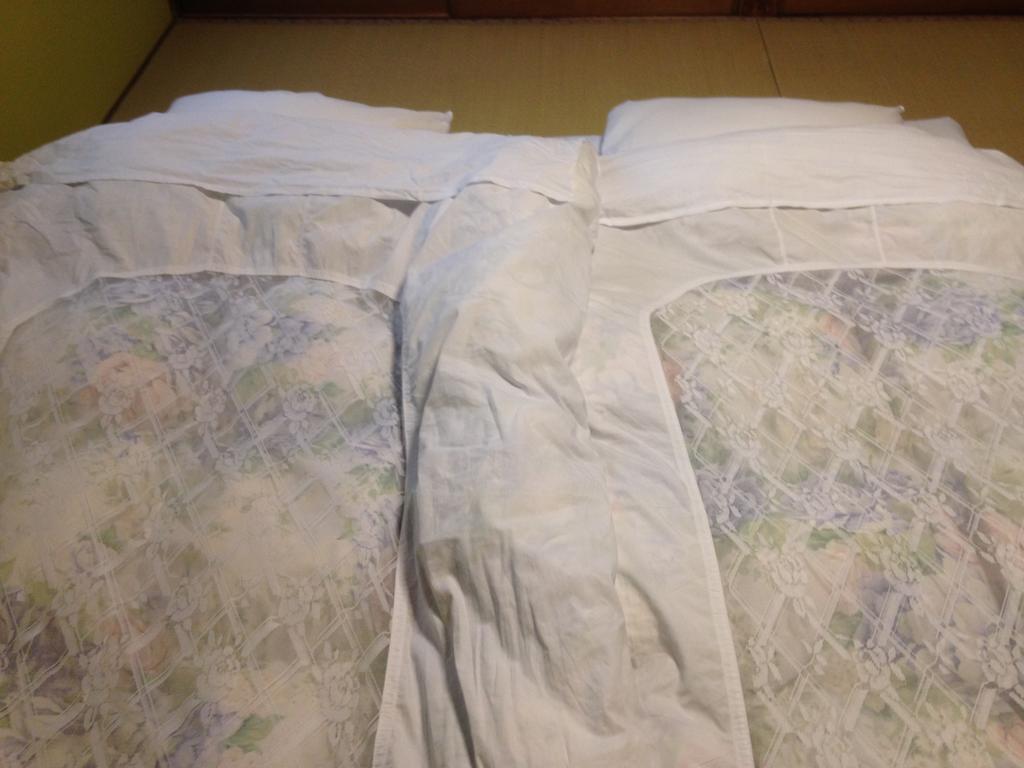 Chuokan Shimizuya Ryokan Нагано Екстериор снимка